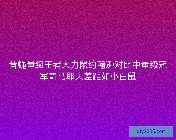 昔蝇量级王者大力鼠约翰逊对比中量级冠军奇马耶夫差距如小白鼠